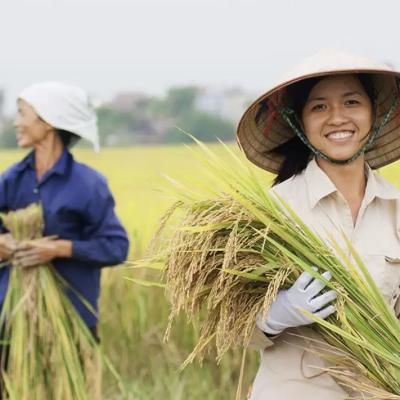 Social-Economic & Environment Impacts