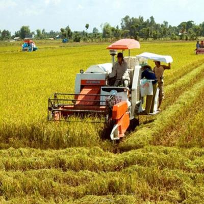 Dịch vụ sau thu hoạch